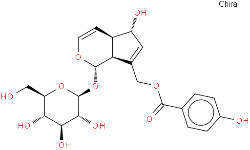 安格努苷，穗花牡荆苷，牡荆苷