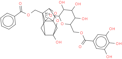 没食子酰芍药苷