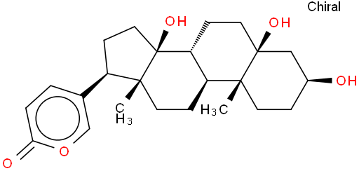 远华蟾毒精