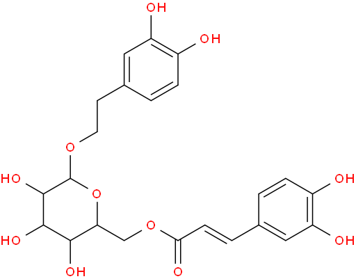 木通苯乙醇苷B