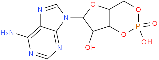 腺苷环磷酸酯