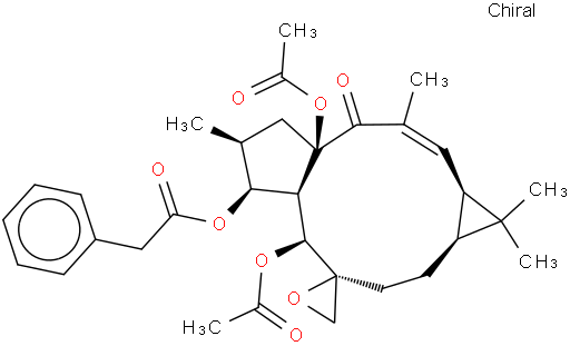 大戟因子L1;千金子素L1