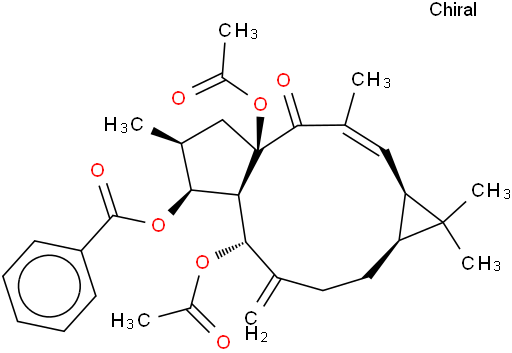 千金子素L3