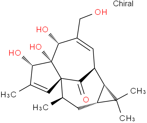 巨大戟醇