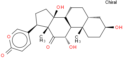 Arenobufagin