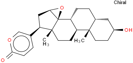 酯蟾毒配基