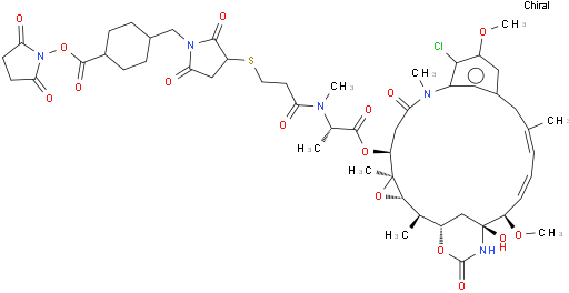 DM1-SMCC