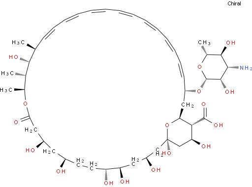 Amphotericin B