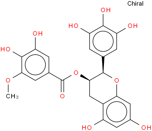3"-O-甲基表没食子儿茶素没食子酸