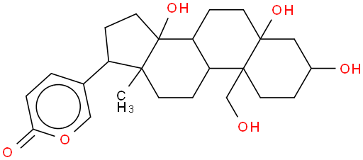 Hellebrigenol