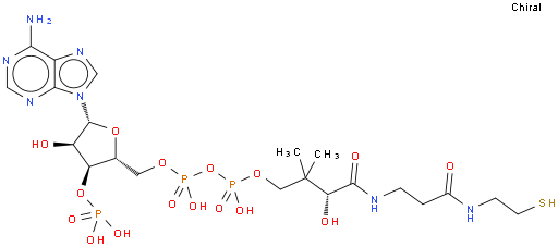 Coenzyme A