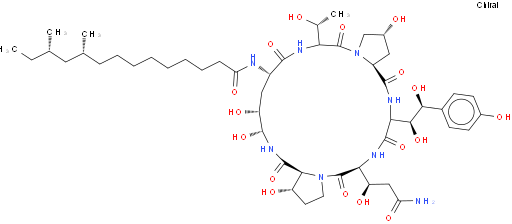 Pneumocandin B0