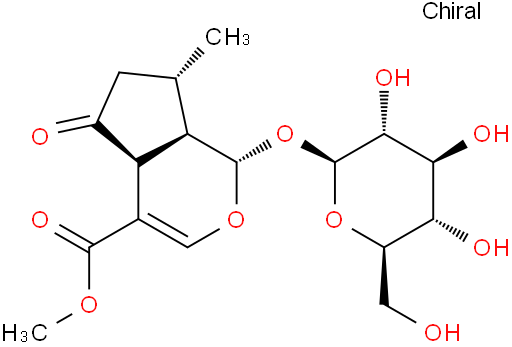 马鞭草苷