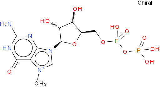 7-Methylguanosine 5'-(trihydrogen diphosphate)