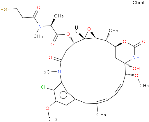 DM1