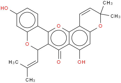 环桑色稀