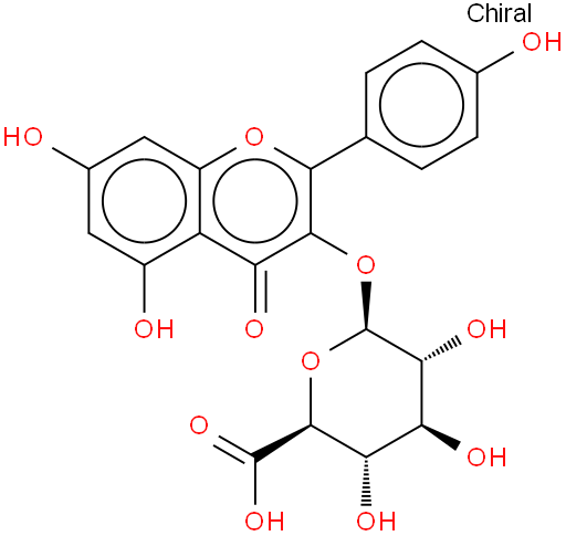 Kaempferol-3-beta-O-glucuronide