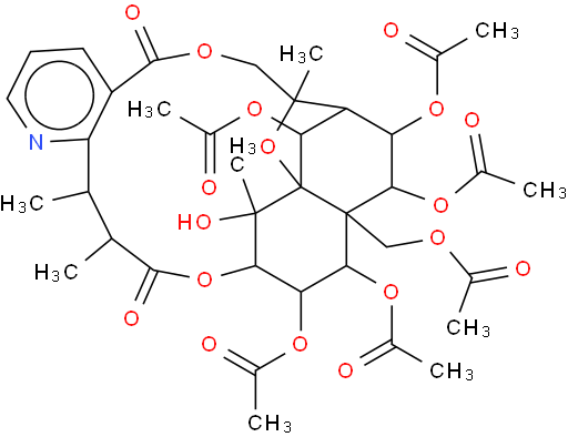 Euonymine