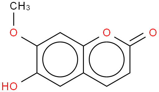 Isoscopoletin