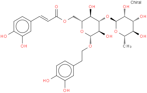 Isoacteoside