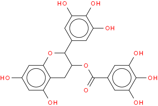 Tea Polyphenols