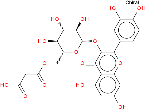 Quercetin 3-O-(6″-O-malonyl)-β-D-glucoside