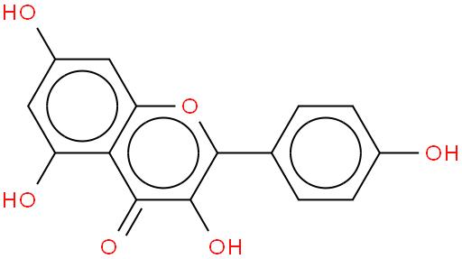 Kaempferol