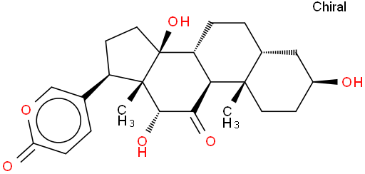 伪异沙蟾毒精